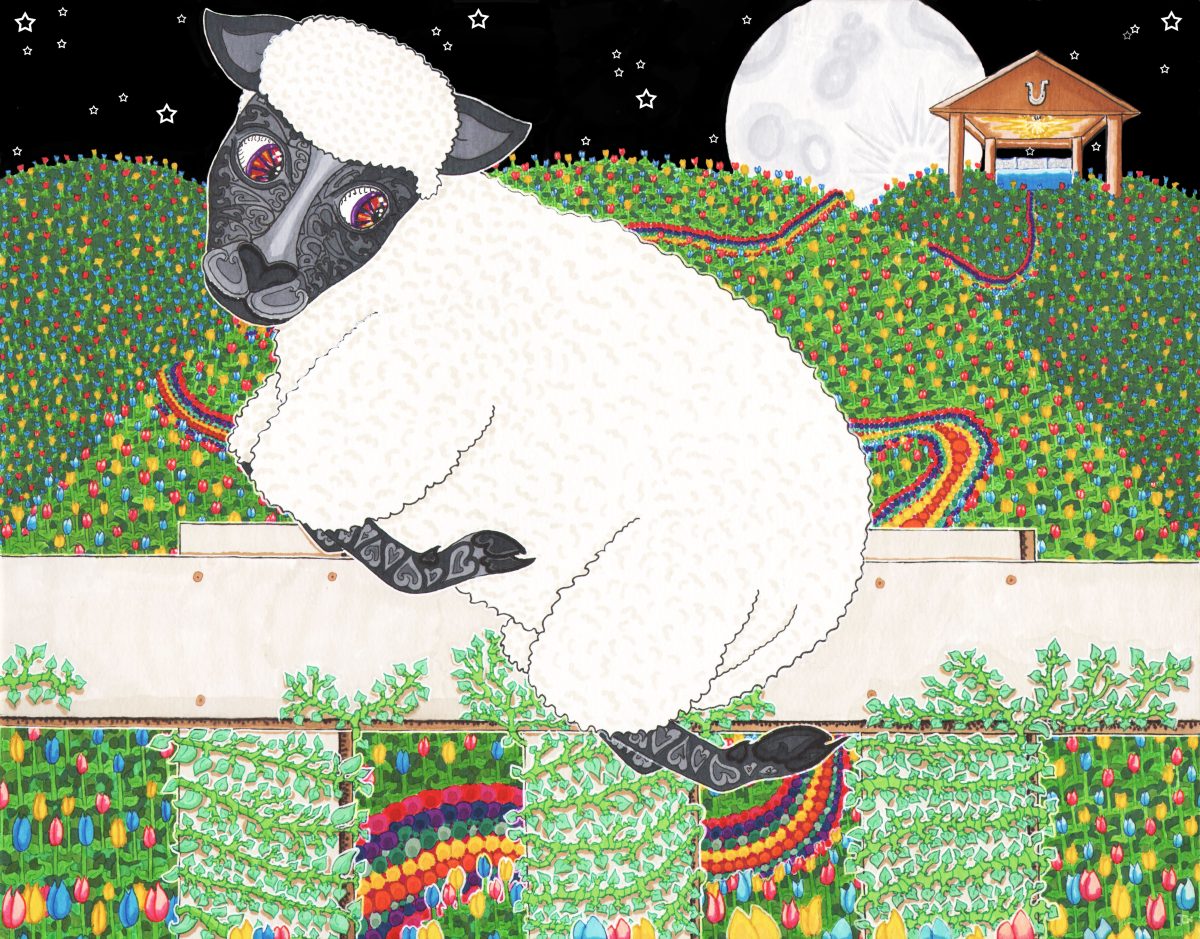 Sheep Illustration from the beloved children's book, "Sometimes Sleep"